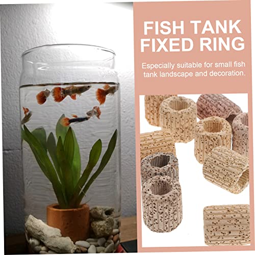 TEHAUX 20pcs Plant Ornament Holders Aquarium Accessories Fish Landscape Accessories Aquarium Ornament Fixed Ring Habitat Suction Cups Fish Tank Fish