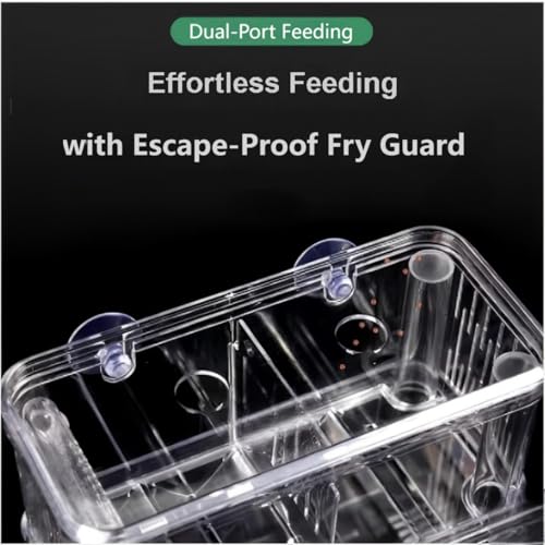 Aquarium Fish Breeder Box Hatchery Incubator,Multi-Functional Acrylic Breeder Isolation Box Hatching Incubator Box for Fish Fry Shrimp Little Turtle Betta Fish - size: L
