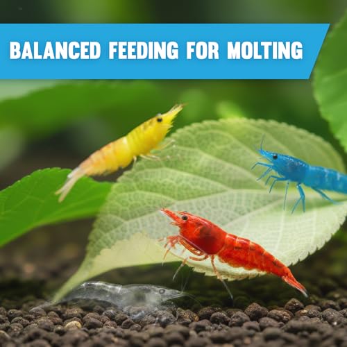 JOR Dried Shrimp Mulberry Leaves, 2 oz. Water Conditioner Leaf as Natural Food Source, Promotes Biofilm Growth & Induce Breeding in Aquatic Pets, Strengthen Exoskeleton & Reduces pH Levels