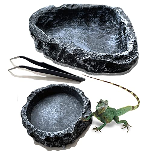 Reptile Feeding Dish Water Bowls 2 Pack Food Dish Water Dish Reptile Dish with Breadworm Feeding for Dragon Leopard Gecko Lizard Spider Scorpion Chameleon ((Round + Corner) Bowl+Tongs) - color: (Round + Corner )Bowl+Tongs