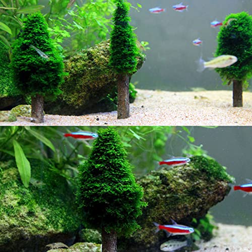 ljhnba Aquarium Moss Holder for DIY Growing Live Mini Trees Shrimp Tanks Decoration Fish for Tank Accessories Aquarium Holder Decoration