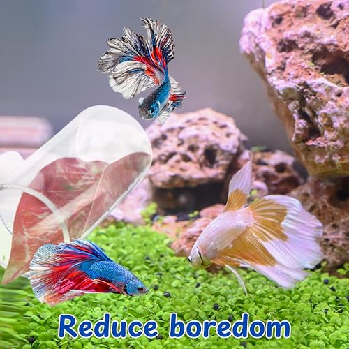 Betta Tunnel with 2 Pcs Veggie Clips for Aquarium, Betta Hideout Tunnel, Leaf Pad Tube and Fish Food Clip, Leaf Clip Feeding Tool, Bettas Fish Tank Accessories for Breeding Resting Feeding (S, Tube)