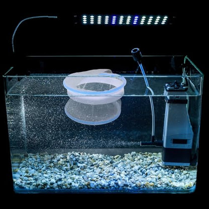 Aquarium Breeding Chamber and Fish Isolation Box, Floating Nylon Mesh Hatchery Tank with Ventilated Lid for Guppy Fry and Betta Nursery in Home Aquariums