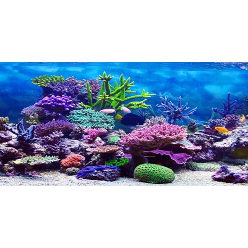 60x24 in Aquarium Backdrop Colorful Coral Tropical Fish Tank Background | AWERT Underwater Theme Tropical Fish Undersea World Vinyl Terrarium Background - size: 60x24in/150x60cm