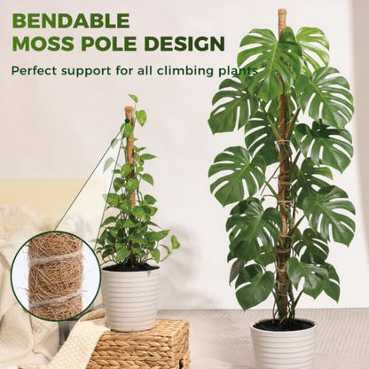 48" Moss Pole Monstera Plant Support, 4 Pack, Bendable Plant Stakes Made of Real Coco Coir Support for Climbing Indoor Plants, Tall Moss Stick Trellis for Potted Climbers - size: 4 Pack (48in)