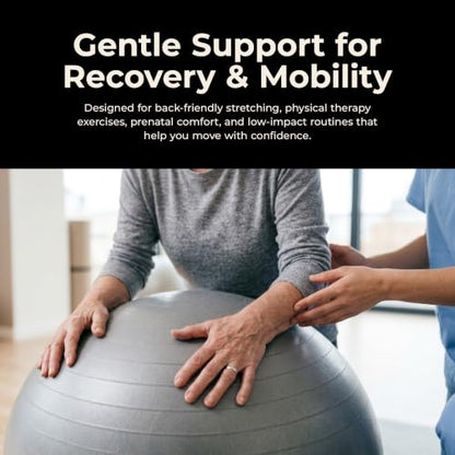 Sunny Health & Fitness Premium Anti-Burst Exercise & Stability Ball | 660LB Capacity, Yoga, Pilates, Physical Therapy, Recovery, Prenatal Comfort, Non-Slip Texture, Non-Toxic, Odor-Free - style: 21.7-inches/55cm