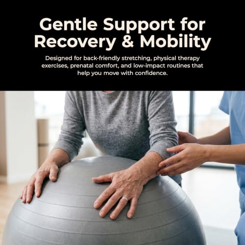 Sunny Health & Fitness Premium Anti-Burst Exercise & Stability Ball | 660LB Capacity, Yoga, Pilates, Physical Therapy, Recovery, Prenatal Comfort, Non-Slip Texture, Non-Toxic, Odor-Free - style: 29.5-inches/75cm