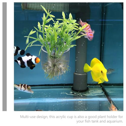 BESPORTBLE 8Pcs Hanging Aquarium Plant Holder, Acrylic Fish Tank Planter for Hydroponic Plants, Clear Space-Saving Aquatic Suction Cups for Home, Office, Hotel