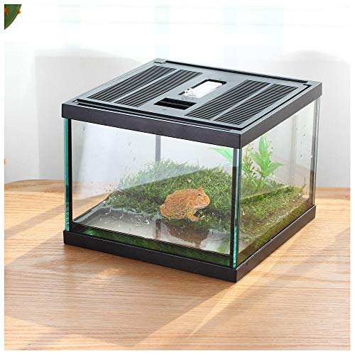 Small Glass Frog Terrarium Kit, 7.8x7.8x5.9'' for Tadpole, Amphibians, Insects Enclosure, Praying Mantis Habitat, with Green Artificial Turf Pad (excluding Animals)