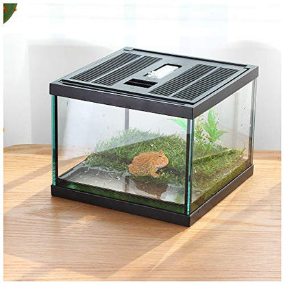 Small Glass Frog Terrarium Kit, 7.8x7.8x5.9'' for Tadpole, Amphibians, Insects Enclosure, Praying Mantis Habitat, with Green Artificial Turf Pad (excluding Animals)