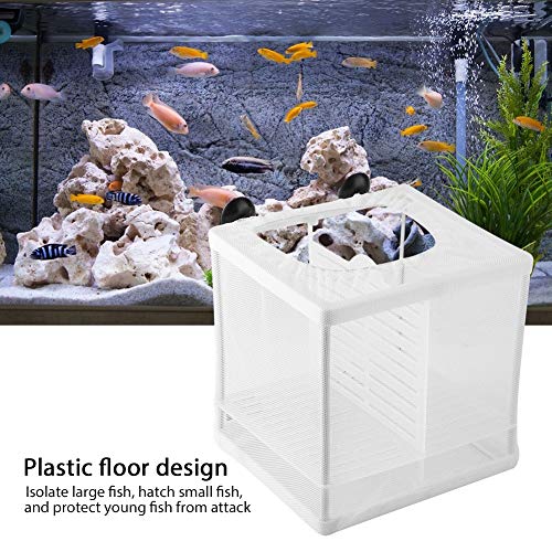 Fish Breeder, Large Breeder Net with Suction Cups, Nylon Mesh Fish Fry Hatchery Isolation Box Separation Net for Fish, Plants, Shrimp on Aquarium Tank, 6.2 x 6.2 x 5.5in