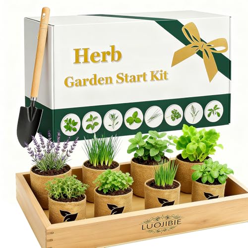 Indoor Herb Garden Start Kit - Unique Gifts for Women, Mothers Day Gifts, Easy House Plant- Birthday for Women,House Warming Gift New Home- Fresh Herb Garden DIY Crafts for Adults