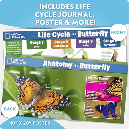 National Geographic Ultimate Butterfly Growing Kit – Butterfly Habitat Kit with Voucher to Redeem 5 Caterpillars (S&H Not Included), Glow-in-The-Dark Figures, Hands-On Activity, Outdoor Toys - style: Ultimate Butterfly Kit
