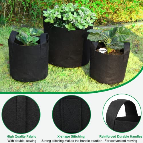 JERIA 12-Pack 5 Gallon Grow Bags, 300G Thickened Nonwoven Garden Pots,Heavy Duty Fabric Pots with Reinforced Handles - size: 5 Gallons