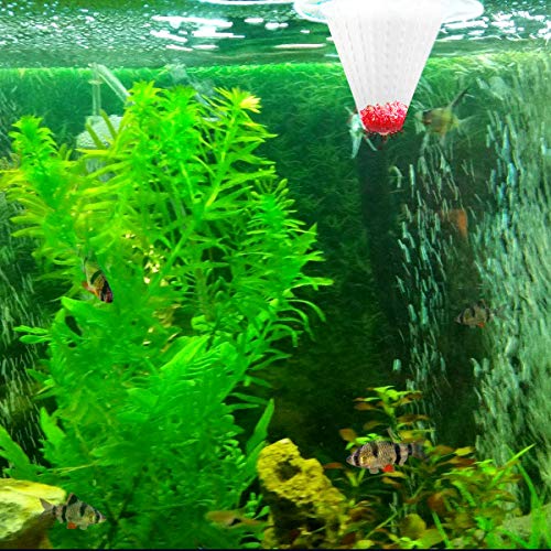6PCS Aquarium Live Red Worm Cone Feeder Plastic Frozen Brine Shrimp Fish Food Feeding Cup for Fish Tank with Suckers