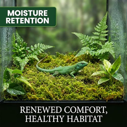 Sukh Sphagnum Moss for Reptiles - Terrarium Reptile Moss Substrate, 15.8 OZ | Habitat Bedding for Snake, Gecko, Turtle, Frog, Bearded Dragon, Jumping Spider, Chameleon, Enclosure & Tank Accessories Decor - size: 15.8 Ounces