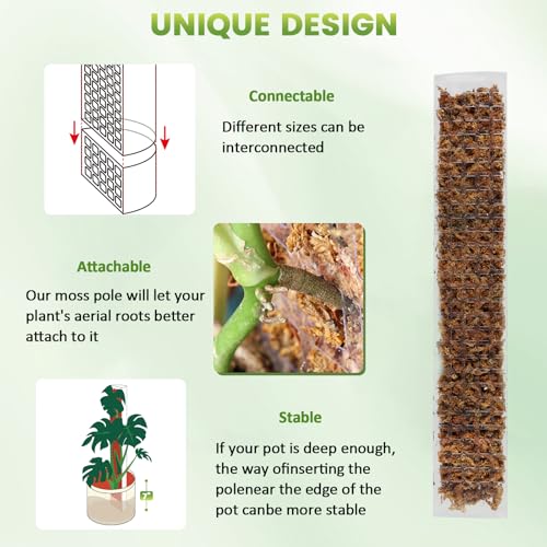 EOX 6 Pack 24" x2 + 36" x2 + 48" x2 Plastic Moss Pole for Monstera, Large D Shaped Poles for Climbing Plants Work with Sphagnum Moss, 210 Inch Total - size: 6 PACK-24+36+48Inch