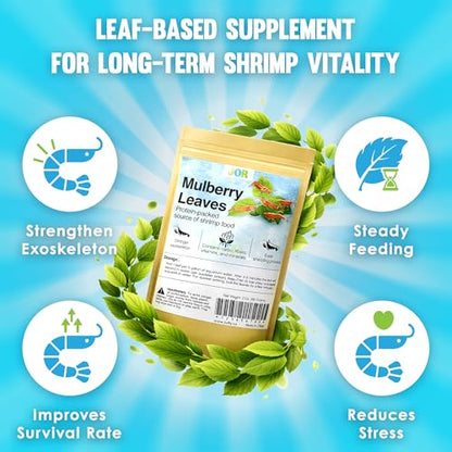JOR Dried Shrimp Mulberry Leaves, 2 oz. Water Conditioner Leaf as Natural Food Source, Promotes Biofilm Growth & Induce Breeding in Aquatic Pets, Strengthen Exoskeleton & Reduces pH Levels