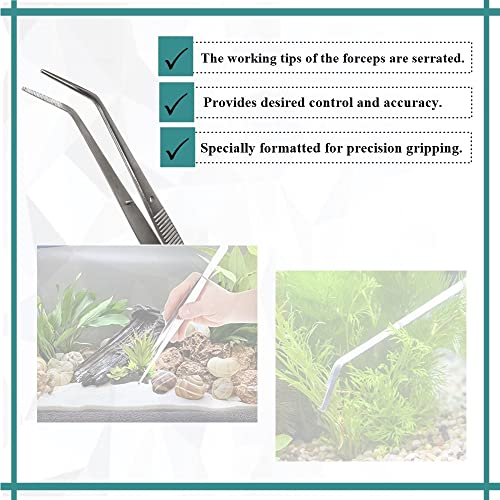 Reptile Feeding Tongs Straight Aquarium Tweezers Anti-Rust Thickened Stainless Steel Forceps, for Terrarium, Fish Tank, Snakes/Lizards/Gecko, Planting By HTI (6" - Angled) - size: 6" - Angled