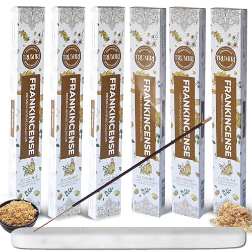 Frankincense Incense Sticks - Incienso de Iglesia - Total 120 Insence-Sticks - 6 Packs of 20 Insense - for Catholic Church Prayer - Inscents - Natural Non Toxic Ingredients - Incents - Incence - color: Frankincense, size: Pack of 6 (120 Sticks)