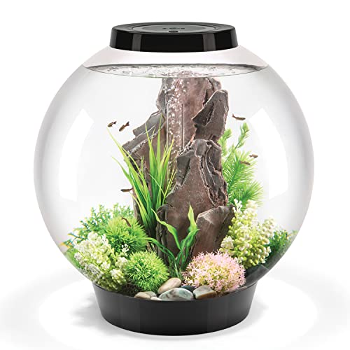 biOrb Classic 60 Acrylic 16-Gallon Aquarium with White LED Lights Modern Tank for Tabletop Display, Black - color: Black, size: 16 Gallon, style: LED Lighting