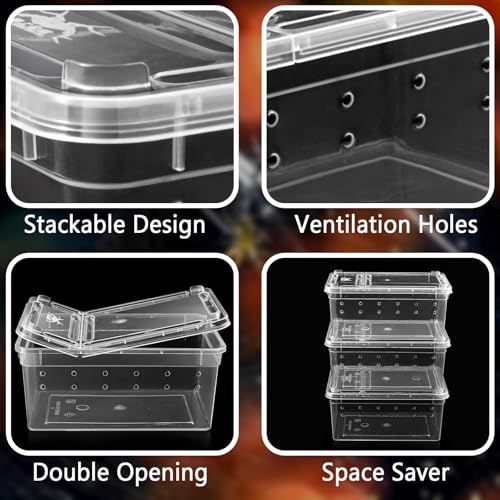 Small Jumping Spider Enclosure - 6 Pack Spider Terrariums, Breeding Box, Transparent Hatching Container, Plastic Feeding Box - 6 Pcs Super Mini