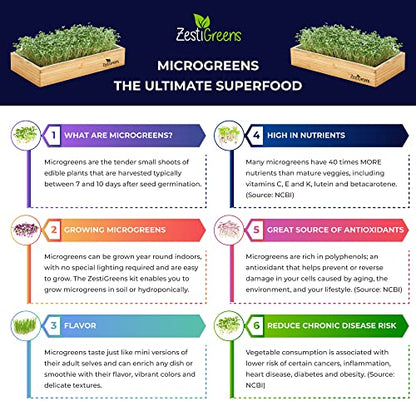 Microgreens Kit Refills - 9 Mats and 9 Different USA Seed Packs | Refill set with 9 plant mats and 9 seed packs for the ZestiGreens microgreens growing kit - color: Sampler Microgreens Refill