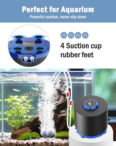 AQQA Aquarium Air Pump, 3W Powerful Dual Outlet Adjustable Oxygen Aerator | Quiet Operation, Stainless Steel Outlet Fish Air Pump, Adjustable Air Flow with Air Stone Bubbler, for Up to 80 Gallon Tank - style: 3W(Tank Up to 80 Gallon Aquariums)