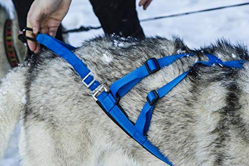 Neewa Adjustable Sled Pro X Harness - Large, Red (22-29" Neck, 38-42" Chest, 23-36" Back) - Dog Pull, Run, Sled, Bike, Cart, Scooter, and Ski - color: Red, size: Large