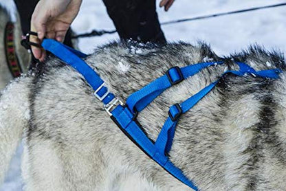 Neewa Adjustable Sled Pro X Harness - Large, Red (22-29" Neck, 38-42" Chest, 23-36" Back) - Dog Pull, Run, Sled, Bike, Cart, Scooter, and Ski - color: Red, size: Large