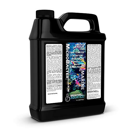 Brightwell Aquatics MicroBacter Start XLM Marine Tank Cycling Aid, 4L - size: 4-L