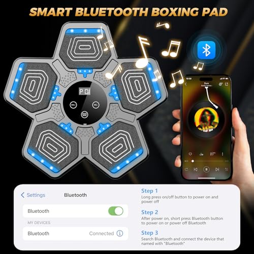 LOLBOX 2026 Music Boxing Machine for Adults and Kids, Smart Bluetooth Boxing Training Equipment with Gloves Wall Mounted, Workout Punching Machine for Home,Office and Gym - color: Ashy