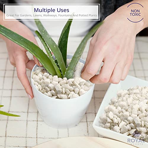 Royal Imports River Rocks, Aquarium Gravel – White 0.25" Gravel - 5 lbs | Decorative Ornamental Vase Filler Pebbles for Potted Plants, Terrariums, Vases, Succulents, Fish Tank Gravel, DIY & Crafting - size: 0.25" Gravel - 5 lbs, style: White
