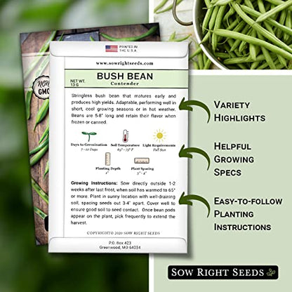 Sow Right Seeds - Contender Bush Bean Seed for Planting Green Beans Garden | Plant stringless non-GMO heirloom variety for home outdoors vegetable gardening. Popular fresh veggies for growing outside.