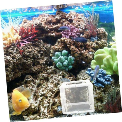 BESPORTBLE 2pcs Fish Breeding Isolation Box Cups Convenient Mesh Structure for Healthy Aquarium Separation Suitable for Fish and Shrimp