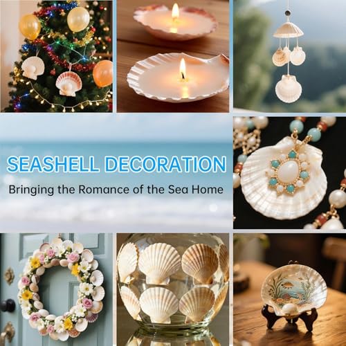 20PCS Natural Scallop Shells for Crafts, 4-5 in White Sea Shells, DIY Decor | Smooth, cleaned surfaces suit painting, resin art, candle making, baking displays, weddings, classrooms and ocean parties. - size: 20PCS (4-5in)