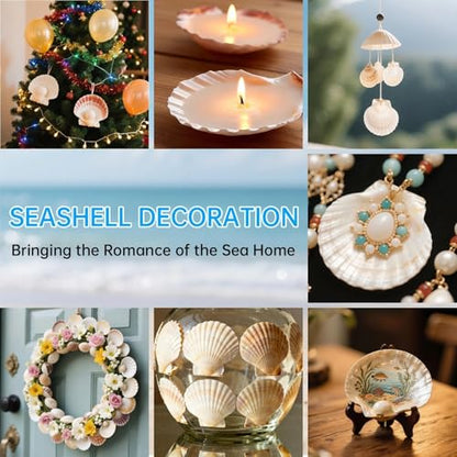 20PCS Natural Scallop Shells for Crafts, 4-5 in White Sea Shells, DIY Decor | Smooth, cleaned surfaces suit painting, resin art, candle making, baking displays, weddings, classrooms and ocean parties. - size: 20PCS (4-5in)