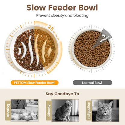 PETTOM Slow Feeder Cat Bowl Elevated Ceramic with Bamboo Stand, Raised Pet Puzzle Dishes for Indoor Cats Small Dog, Anti Vomit Cat Bowl for Wet & Dry Food - color: White-fishbone