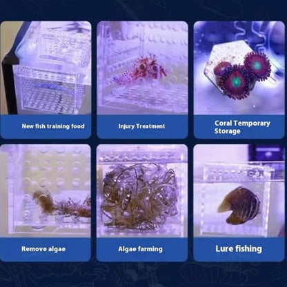 Generic Acrylic Fish Breeding Box, Magnetic Fish Isolation Box for Aquarium Hatchery Incubator Tank for Baby Fishes Shrimp Clownfish Guppy - size: Small, Normal magnetic model