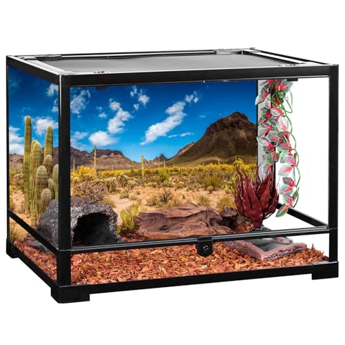 30x12 in Reptile Habitat Background Blue Sky Cactus Desert Tank Backdrop | AWERT Desert Oasis Terrarium Background, Vinyl - size: 30x12in/75x30cm