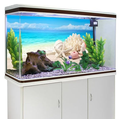 AWERT Vinyl 36x18 inches Sea Beach Aquarium Background Summer Starfish Fish Tank Background Blue Ocean Terrarium Background - size: 36x18in/90x45cm