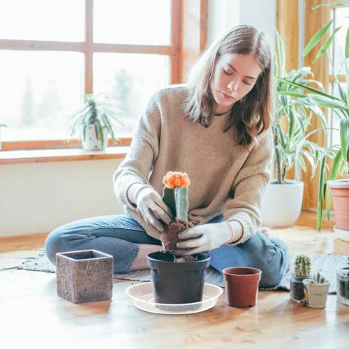 FUIJOL 6 Pack Clear Plant Saucer, Durable Plant Drip Trays Saucers for Pots, No Holes Water Catcher Trays for Indoor Outdoor Planter, Sturdy Base Plate (Clear, 6.2"-6Pack) - size: 6.2"-6Pack