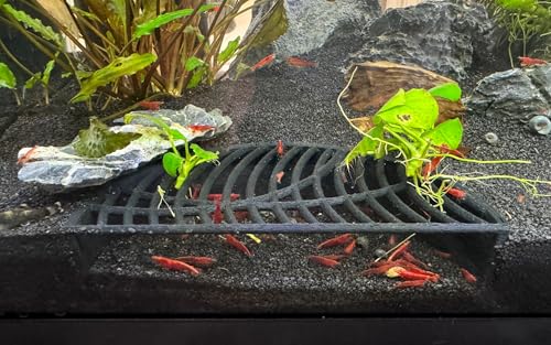 Shrimp Breeding Hide | Shrimp Cave | Shrimp Hide | Tunnel | Black - size: Halfmoon Hide