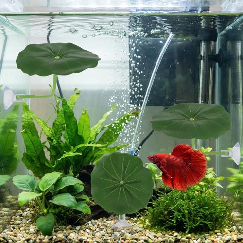 Xindojuz 3 Pack Betta Fish Toys, Plastic Betta Bed Leaf Hammock for Fish Tank Decorations, Safe Soft Aquarium Decor Plants with Suction Cups for Shrimp, Small-Fish (2.56 Inches)