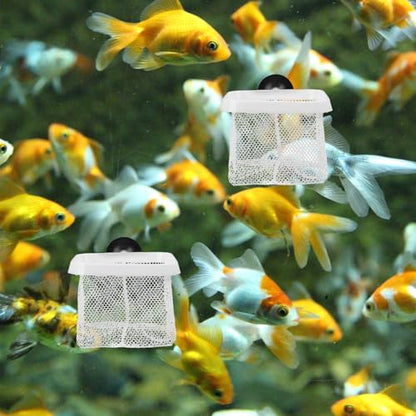 YARNOW 5pcs Fish Breeder Net Suction Cups Divider Nets for Fish Tanks for Shrimp and Fry Protection Prevents Easy Installation Versatile Use