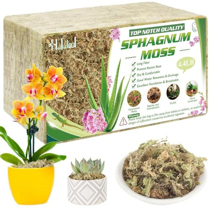 Halatool 4.4 LB Sphagnum Moss for Plants, 85 QT Long Fiber Orchid Moss | Drainage & Moisture Retention, Natural Moss for Ferns, Succulents, Carnivorous, Orchid Repotting, Terrariums, Reptile Bedding - size: 85 qt (4.4 lbs)
