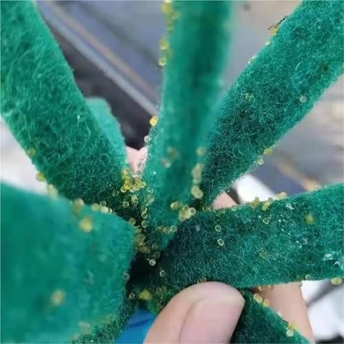 Fish Spawning Mops 20 PCS Safety Fish Breeding Slate Spawning Mop Egg Collector Wear-Resistant Bed for Aquarium Fry Hiding Decorations