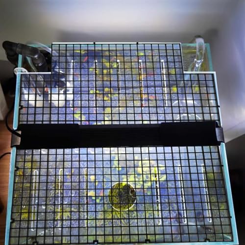 BESPORTBLE Fish Tank Divider Set Aquarium Supplies 16pcs Fish Tank Separator Food-Grade Plastic Random Color