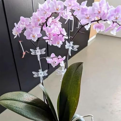 50PCS Plastic Plant Orchid Clips Dragonfly Clear Vine Holding Clips Gardening Styling Support Clips Garden Plant Support Clips for Orchids Tomatoes Cucumbers Flowers Vine Clips