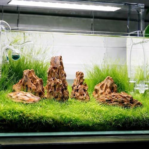 2.2-8.1 Inches Natural Dragon Stone, 5 PCS Mixed Sizes Aquarium Rocks for Aquascaping, Terrariums, Reptile Tanks & Aquarium Décor - size: 2.2-8.1 in